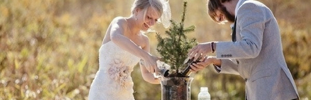 matrimonio-rito-simbolico-tree-planting